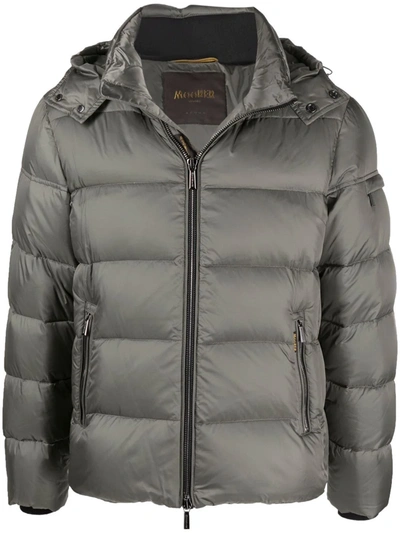 Moorer Sage Gray Padded Brett-sh Down Jacket In Grigio