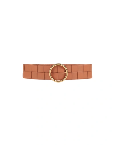 Bottega Veneta Belts In Brown