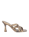 Sam Edelman Sandals In Beige