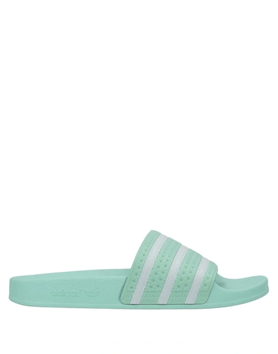 Adidas Originals Adidas Men's Originals Adilette Print Slide Sandals In Mint/white