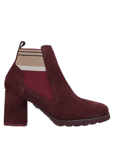 Callaghan Ankle Boots In Maroon