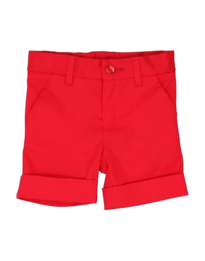 Le Bebé Kids' Shorts & Bermuda Shorts In Red
