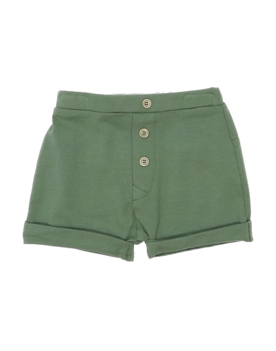 Coccodé Kids'  Newborn Girl Shorts & Bermuda Shorts Military Green Size 3 Cotton, Elastane