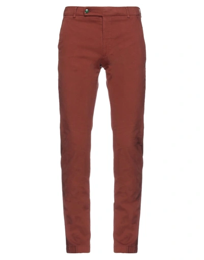 Berwich Pants In Brown