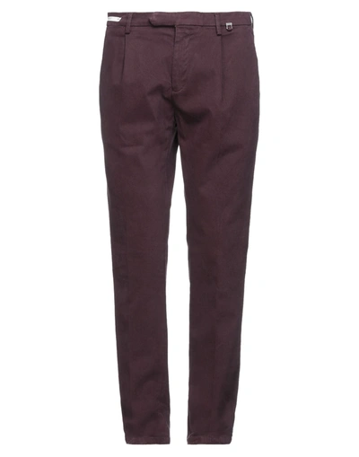 Paoloni Pants In Deep Purple