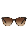 Ralph Lauren 54mm Gradient Cat Eye Sunglasses In Lspot Tort