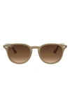 Ray Ban 51mm Round Sunglasses In Turtledove