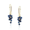 Mounir London Gold Sapphire Cluster Earrings In Cluster