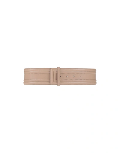 Elisabetta Franchi Belts In Dove Grey