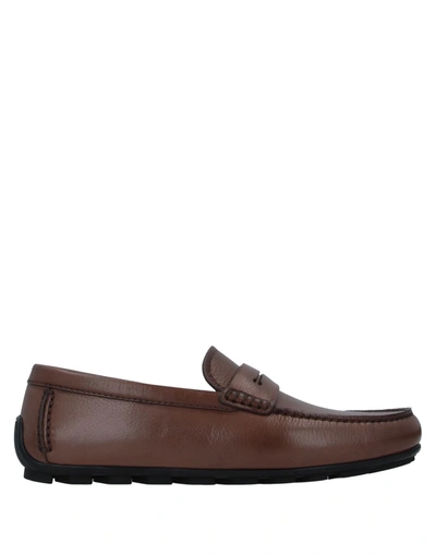 Ermenegildo Zegna Loafers In Brown