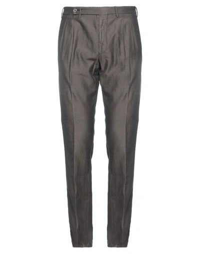 Berwich Casual Pants In Dark Brown