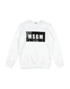 Msgm Logo Print Cotton Sweatshirt In White