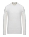 Kangra Cashmere Sweaters In Ivory