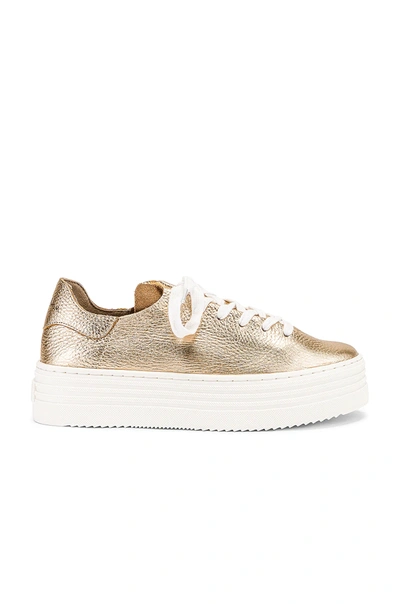 Sam Edelman Women's Pippy Lace Up Sneakers In Gold Leather