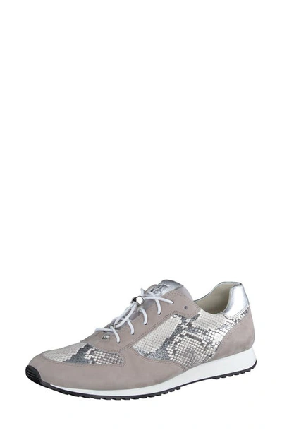 Paul Green Elvis Sneaker In Stone Silver Pebble Python