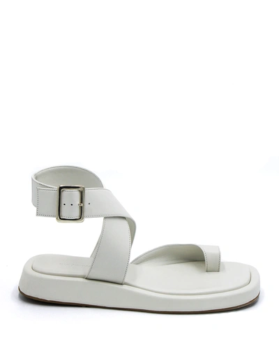 Gia/rhw X Rhw Flat Toe Ring Wrap Sandal In White