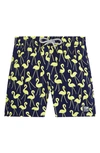 Tom & Teddy Little Boy's & Boy's Flamingo Swim Trunks In Dark Navy