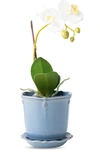 Juliska Berry & Thread Planter With Saucer In Chambray