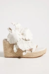 Cecelia New York Lily Platform Wedge Sandal In Pink