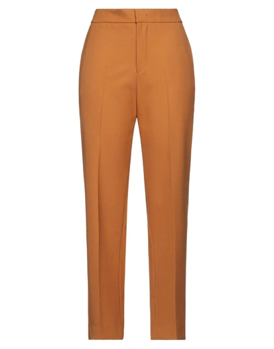 Pt Torino Pants In Ocher