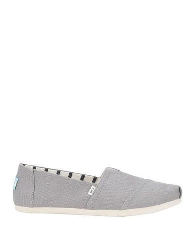 Toms Sneakers In Grey Cotton
