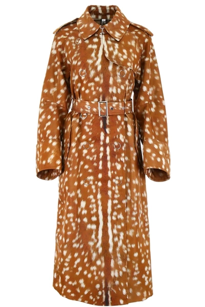 Burberry Ladies Deer Print Trench Coat In Yellow
