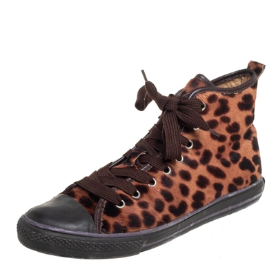 Pre-owned Dolce & Gabbana Brown Leopard Print Calf Hair High Top Sneakers Size 38