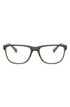 Dolce & Gabbana 56mm Rectangle Optical Glasses In Transparent Brown
