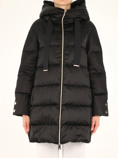Herno Quilted Down Jacket In Black
