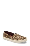 Leopard Print Canvas