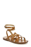 Sam Edelman Meriai Ankle-wrap Leather Gladiator Sandals In Cognac