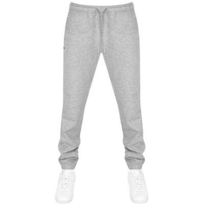 Lacoste Sport Cotton Fleece Sweatpants In Grey