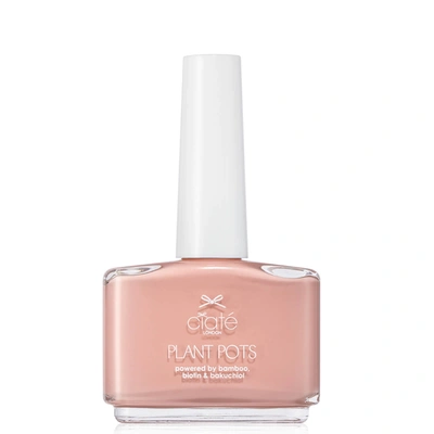Ciate London Plant Pots Nail Varnish 14ml (various Shades) - Sweet Blush