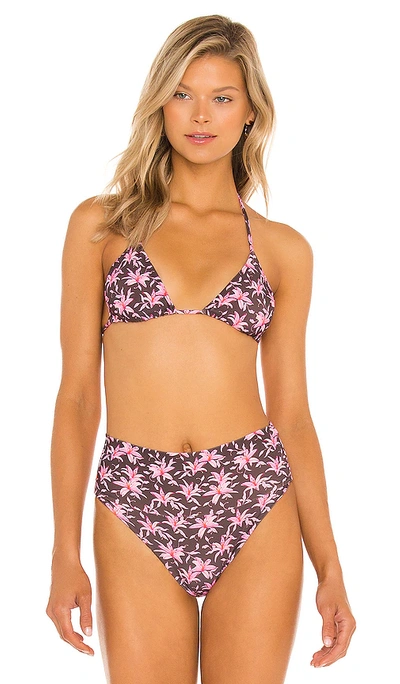 Acacia Humuhumu Bikini Top In Madonna