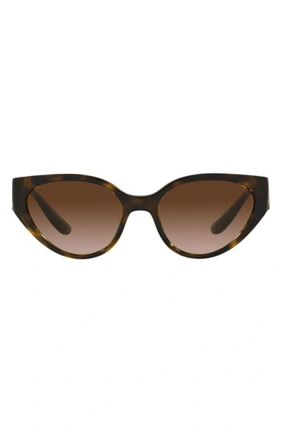 Dolce & Gabbana 54mm Gradient Cat Eye Sunglasses In Dark Havana