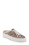 Dolce Vita Women's Vanie Almond Toe Slip On Canvas Platform Sneakers In Beige Leopard