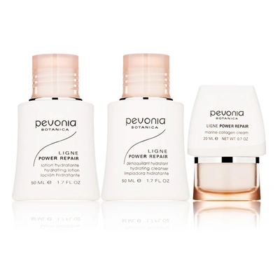 Pevonia Your Skincare Solution Power Repair Kit