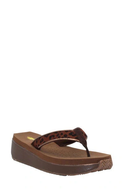 Volatile Neville Genuine Calf Hair Platform Flip Flop In Tan Leopard Calf Hair