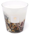 BAOBAB COLLECTION RAINFOREST SCENTED CANDLE