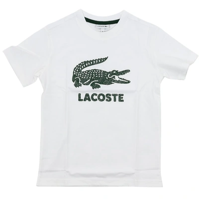 LACOSTE COTTON T-SHIRT,ABTJ1965
