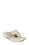 Born Corvo Flip Flop In Grey