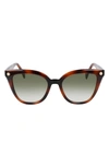 Lanvin Arpege 53mm Gradient Cat Eye Sunglasses In Havana