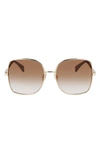 Lanvin Arpege 60mm Square Sunglasses In Gold/ Gradient Brown