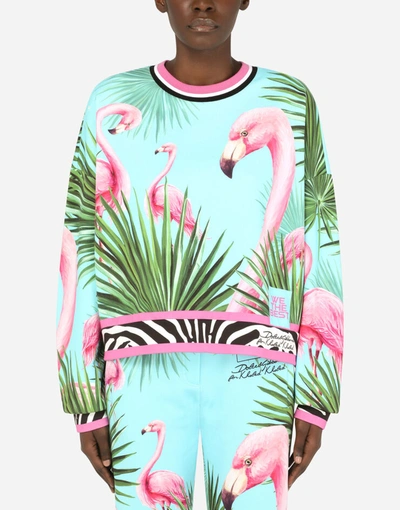 Dolce & Gabbana Round-neck Jersey Sweatshirt With Flamingo Print In Multicolor