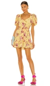 QUINN 迷你裙 – SNAPDRAGON MULTI