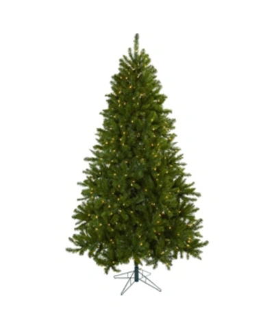 Nearly Natural 7.5' Windermere Christmas Tree W/clear Lights In Green