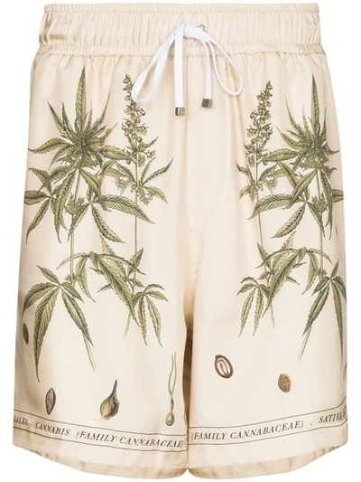 Amiri Botanical Leaves Drawstring Shorts In Nude & Neutrals