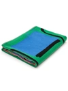 Jw Anderson X Shawanda Corbett 'chair With Plastic Cover' Blanket (137cm X 180cm) In 绿色