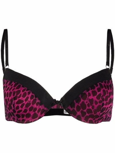 Dolce & Gabbana Leopard-print Padded Bra In Pink