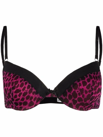DOLCE & GABBANA LEOPARD-PRINT PADDED BRA